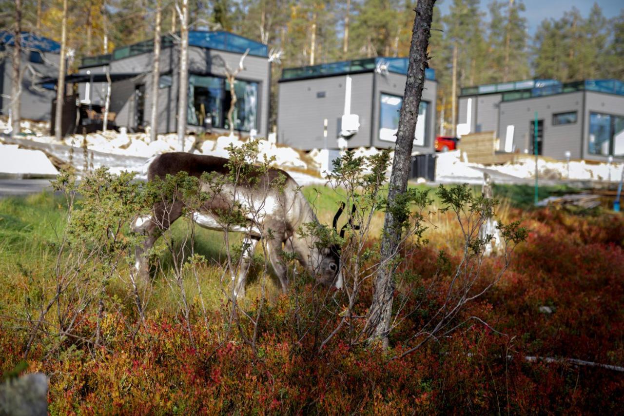 Levi Secret Igloo Revontuli Villa Sirkka Exteriör bild